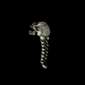 Gothic skull bottle opener in zinc alloy with detailed skull design