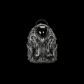 Cyber Biomechanical Backpack