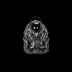 Cyber Biomechanical Backpack