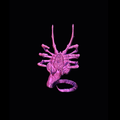 Facehugger Phone Stand