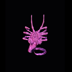 Facehugger Phone Stand