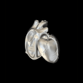 Silver anatomical heart trinket tray with matching lid and sculptural gothic design