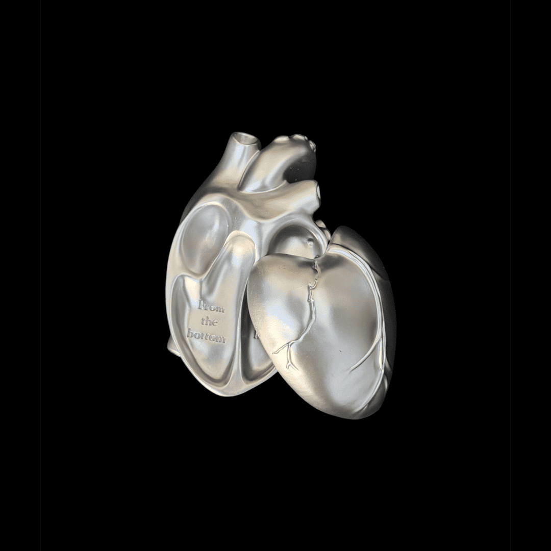 Silver anatomical heart trinket tray with matching lid and sculptural gothic design