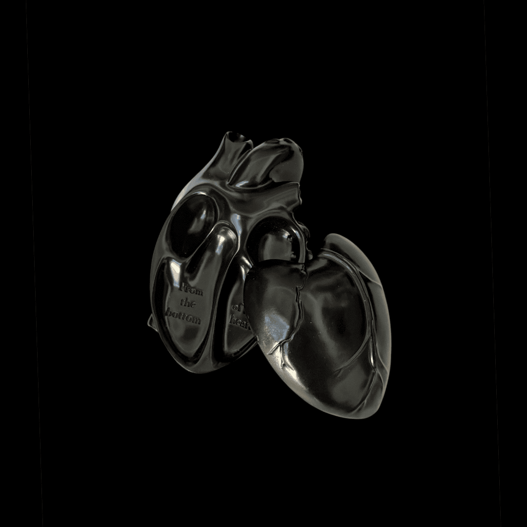 Black anatomical heart trinket tray for gothic bedroom and desk decor